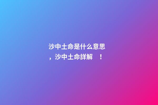 沙中土命是什么意思，沙中土命詳解！
